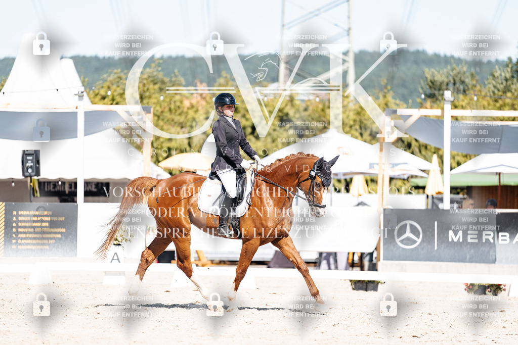 CK908846 | Turnierfotografie Pferdefotografie Trier Rheinland-Pfalz Pferdesport Reitsport Tierfotografie Sportfotografie Pferdevideo Pferdevideografie Equestrianvideography equestrianphotography  - Realisiert mit Pictrs.com