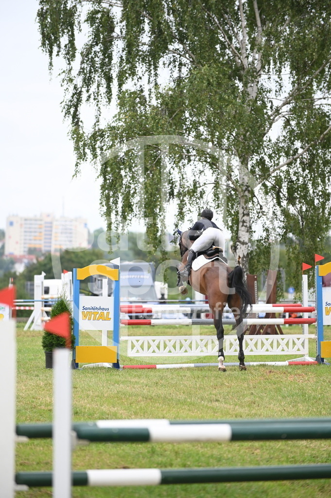 DSC_0188 | sattelsport - Realisiert mit Pictrs.com