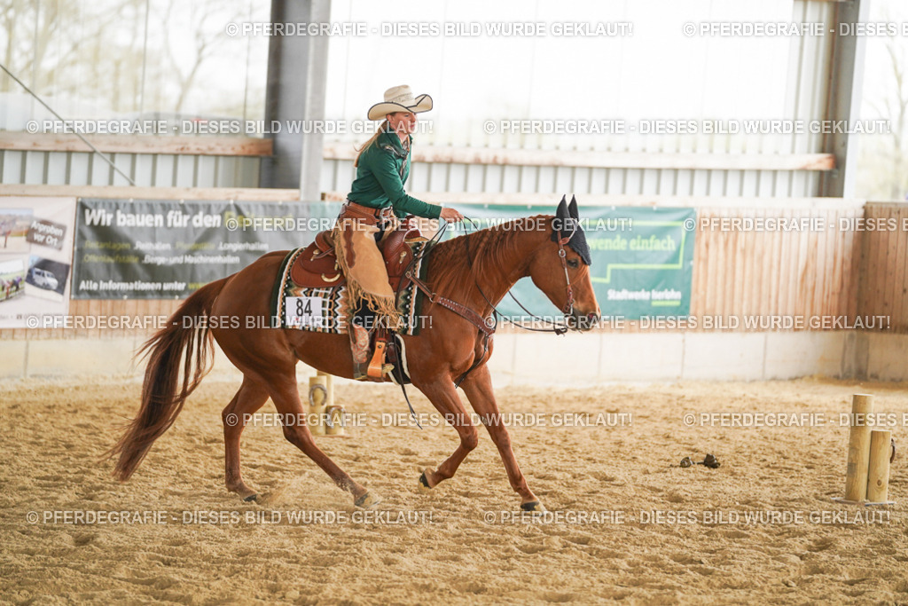 DSC04614 | Pferdegrafie