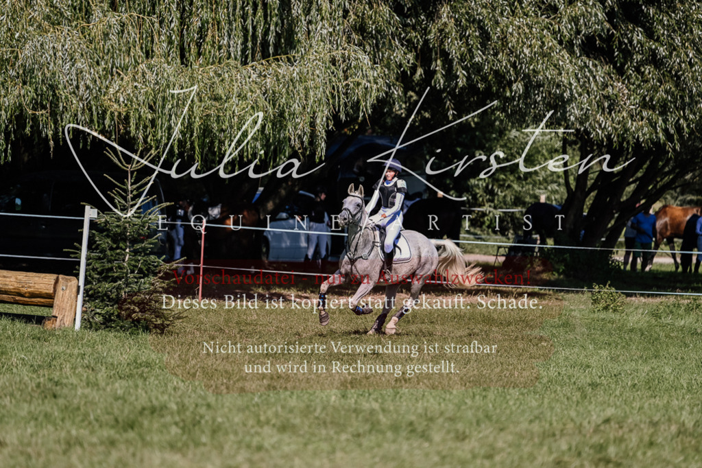 DSC_3021 | Pferde- und Turnierfotografie in Westsachsen. Pferdeportraits, Auftragszeichnungen und intuitive Kunst.