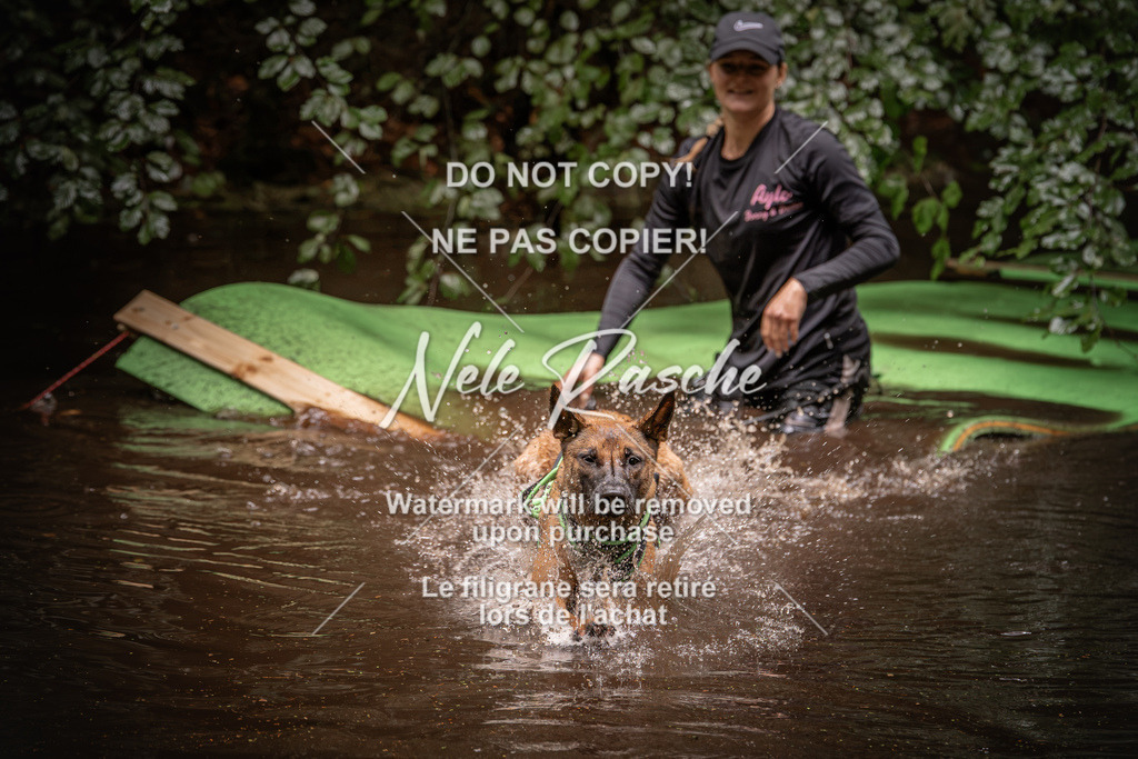 nelerasche_Wingst_Sa1330-1400_89 | nelerasche