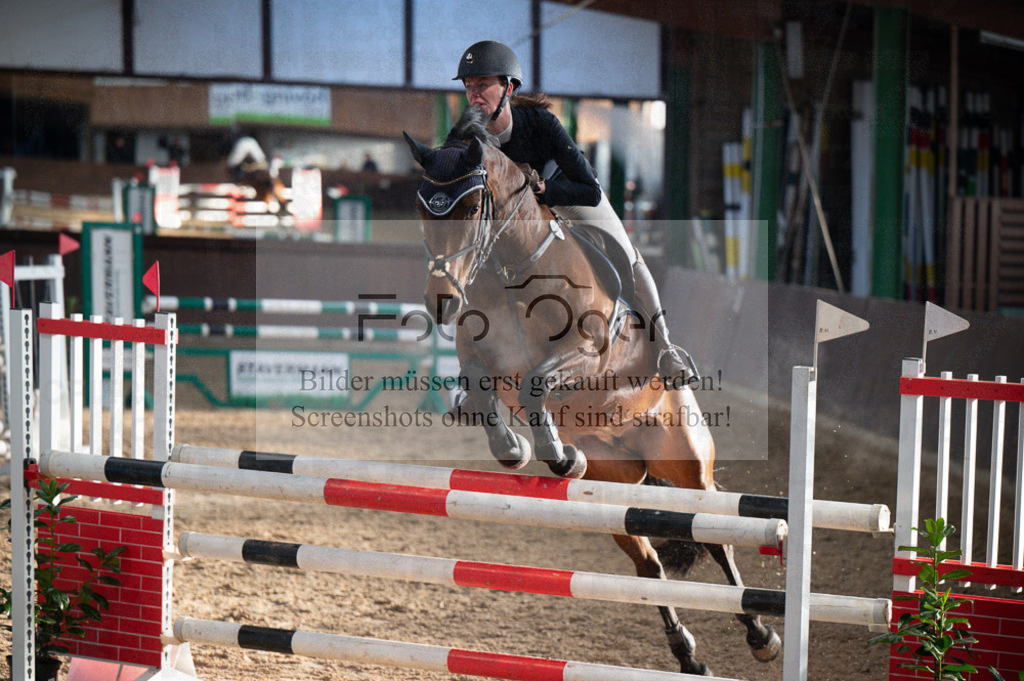 Hallenreittunier Voxtrup 2023 | Entdecke hochwertige Reitturnierfotos von Foto Oger. Professionell, emotional und authentisch – jetzt Lieblingsmomente im Shop bestellen.Deutschlandweite Turnierfotografie. - Realisiert mit Pictrs.com