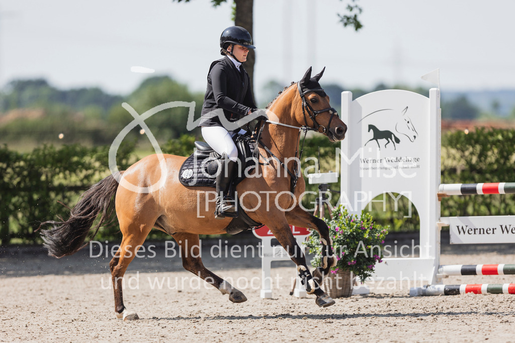 250621_Lemwerder_QualiBuChaPonys5-6-608 | Deine schönsten Turniermomente als professionelle Fotos! Entdecke hochwertige Pferdesport-Fotografie im Online-Shop. Jetzt Fotos finden & bestellen!