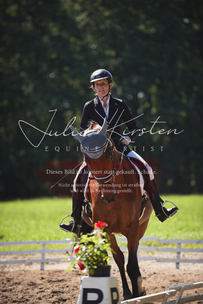 DSC_0442 | Pferde- und Turnierfotografie in Westsachsen. Pferdeportraits, Auftragszeichnungen und intuitive Kunst.