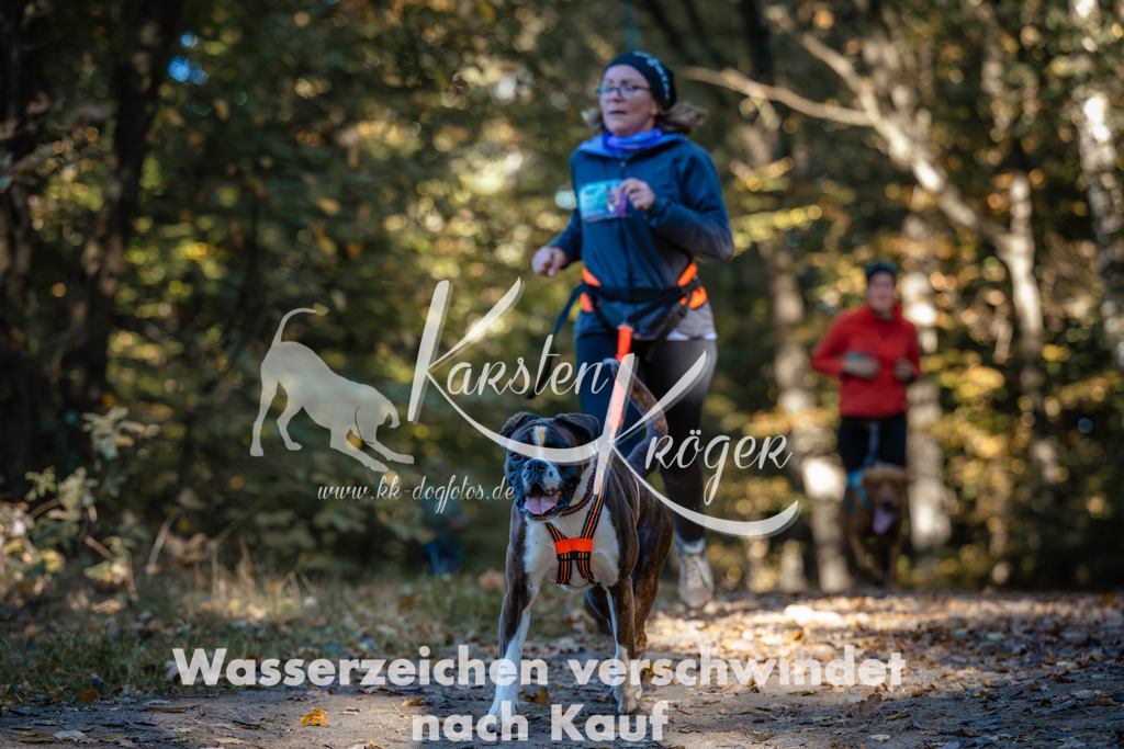 1021_ZZ99705 | kk-dogfotos