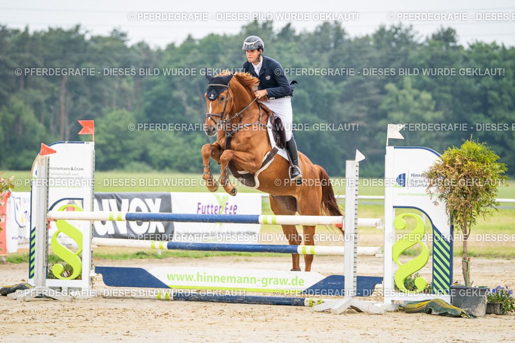 DSC09520 | Pferdegrafie