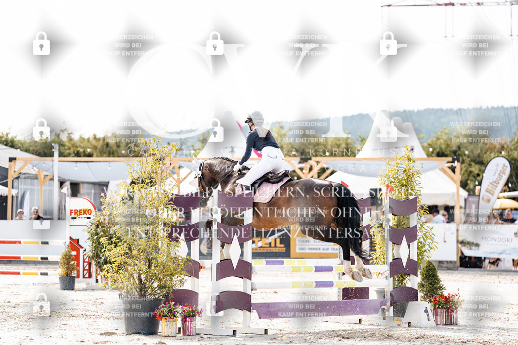 CK905597 | Turnierfotografie Pferdefotografie Trier Rheinland-Pfalz Pferdesport Reitsport Tierfotografie Sportfotografie Pferdevideo Pferdevideografie Equestrianvideography equestrianphotography  - Realisiert mit Pictrs.com
