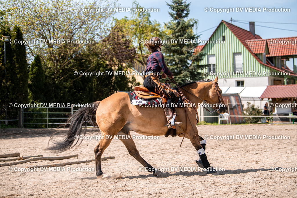 Balingen Tag 3-572 | dv-media-shop - Realisiert mit Pictrs.com