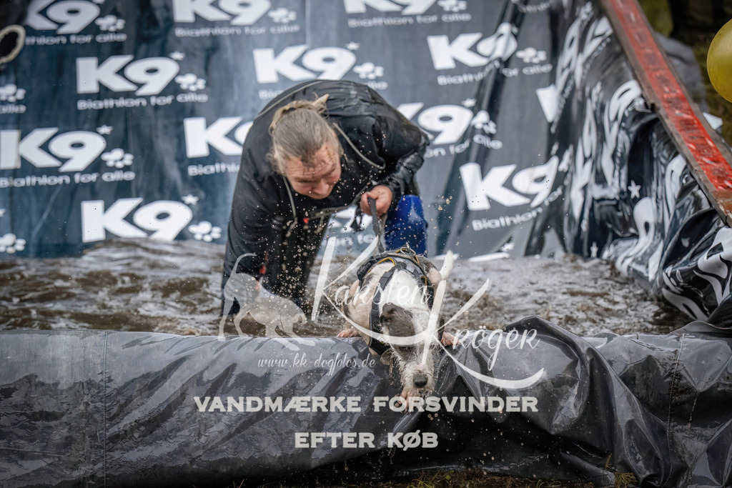 1233_ZZ90157 | kk-dogfotos
