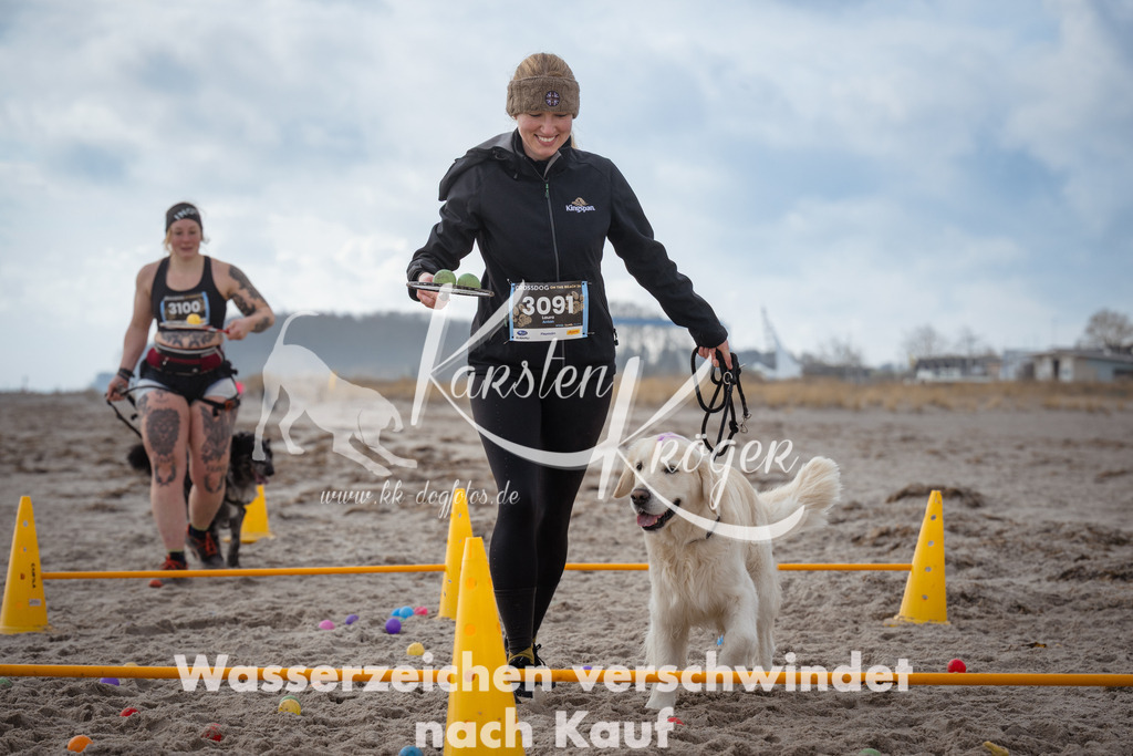 1228_ZZ96781 | kk-dogfotos