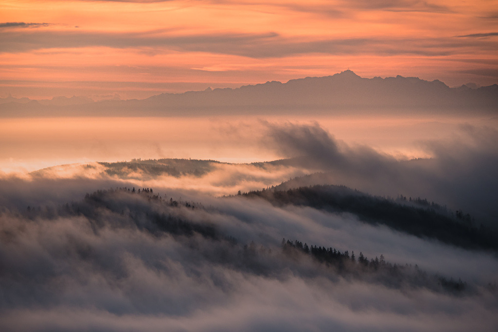 Herbstlicher Hochschwarzwald | Spätherbst im Hochschwarzwald mit Nebel über den Bergen. Blick vom Feldberg über den südlichen Schwarzwald mit den Alpen im Hintergrund. - Realisiert mit Pictrs.com