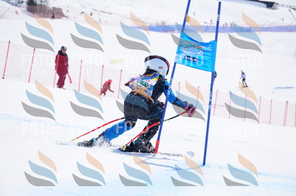 DSC_1356 | holidayphoto