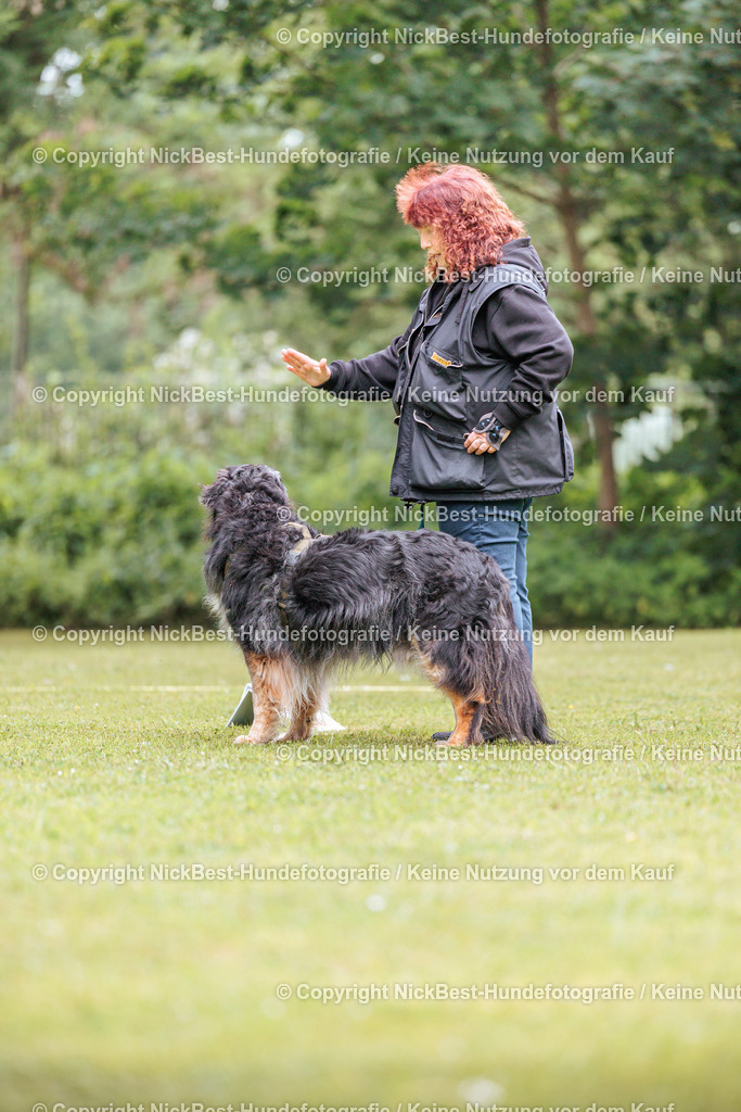RO-Blumenthal-2026-Nickbest-Hundefotografie-1814 | Dein Hund! Dein Moment! Deine Erinnerungen! Hundefotografie in Bremen Blumenthal. Ich fange die besonderen Momente deines Vierbeiners ein – ob Indoor mit Blitzanlage oder in der freien Natur. Sicher dir dein Moment und dein Termin für eure Erinnerungen.