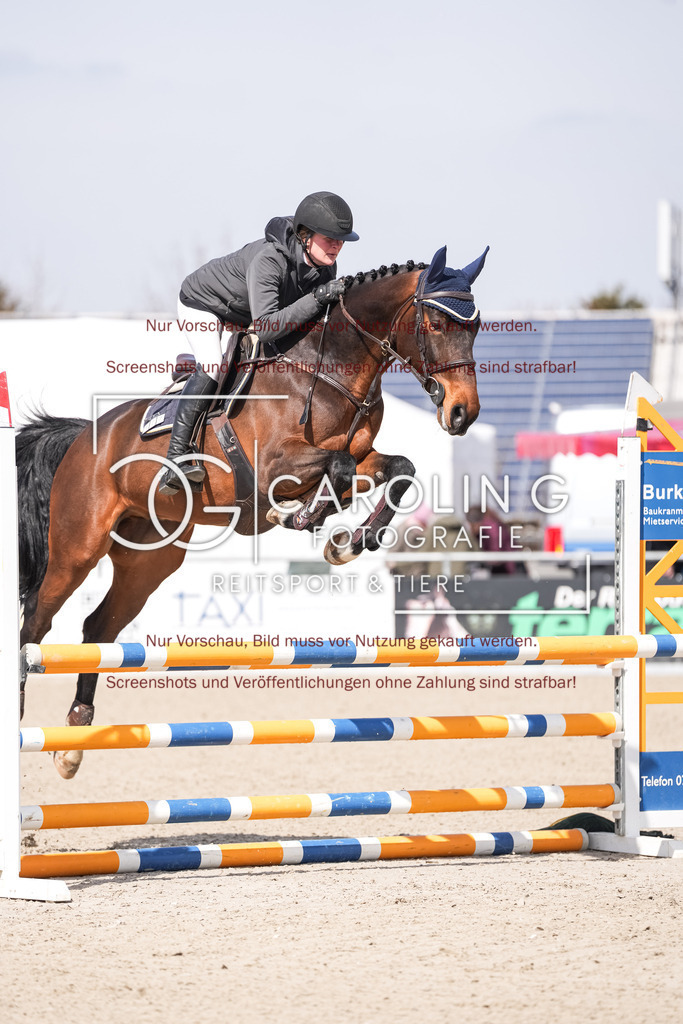 DSC05591 | Late_entry_Springturnier_Bad_Wurzach, Charming_50, Kathrine_Wingerter