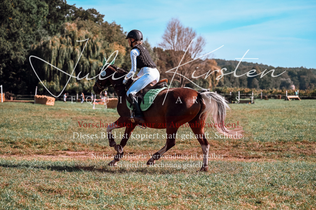 DSC_0843 | Pferde- und Turnierfotografie in Westsachsen. Pferdeportraits, Auftragszeichnungen und intuitive Kunst.