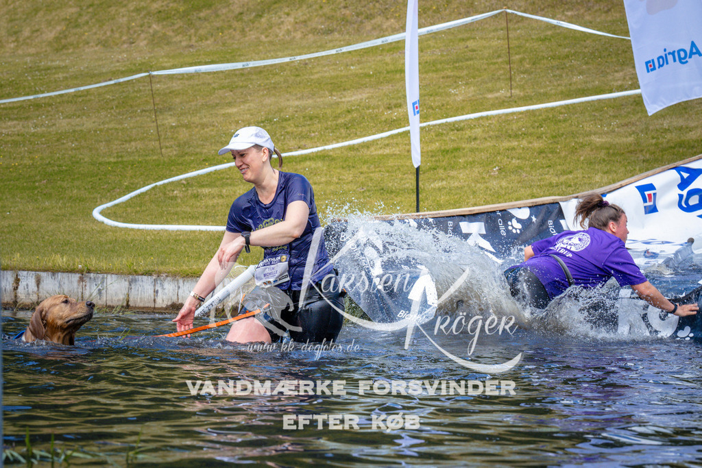 _ZZ950011004 | kk-dogfotos