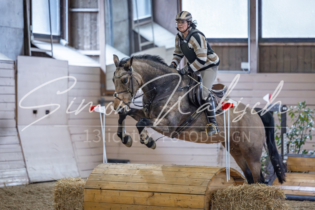 20260221-_3LI0497 | Tierfotografie Pferde, Hunde, Katzen, Haustiere.
Turnierfotografie Reitturniere, Reiten, Springreiten, Dressur in Hanau, dem Main-Kinzig-Kreis und dem Rhein-Main- Gebiet um Frankfurt