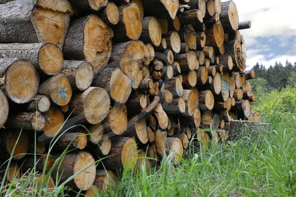 NatureArt-HOLZSTAPEL_0006 | Fotomodell am Holzpolter | #005 | Modell: Liza | Foto: Tschiponnique Skupin - Realisiert mit Pictrs.com