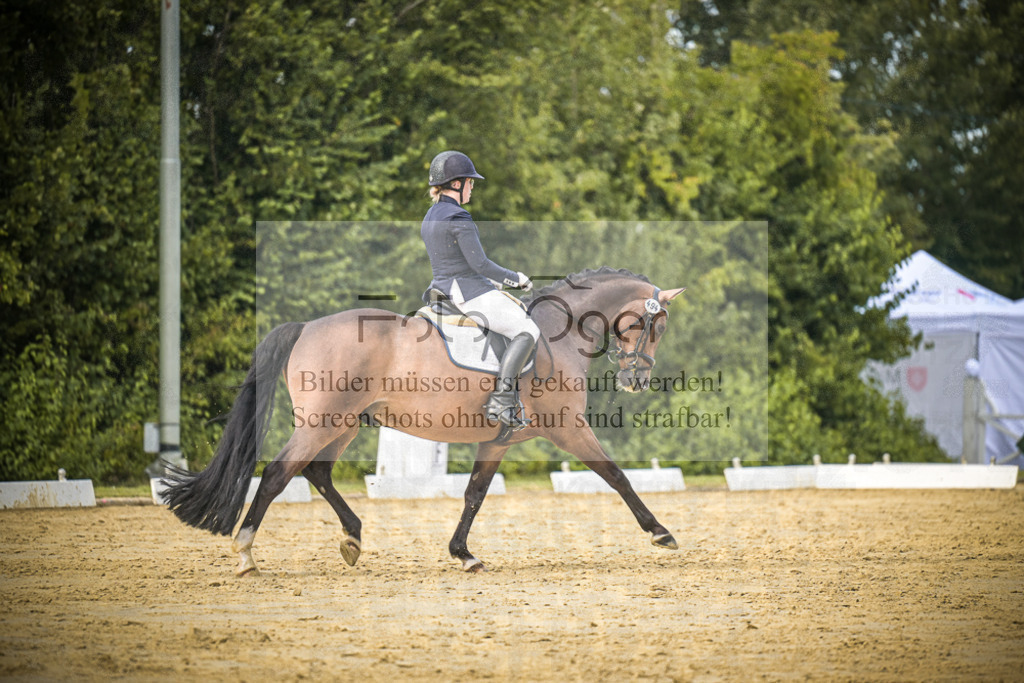 DOS_8901 | Entdecke hochwertige Reitturnierfotos von Foto Oger. Professionell, emotional und authentisch – jetzt Lieblingsmomente im Shop bestellen.Deutschlandweite Turnierfotografie. - Realisiert mit Pictrs.com