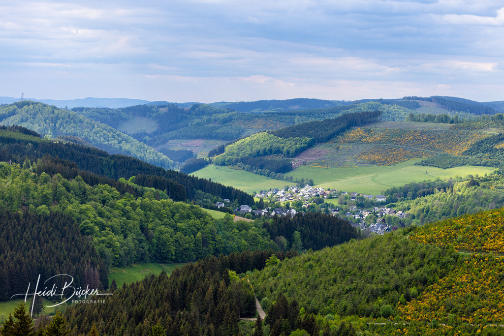 Westfeld und Umgebung 047 | Bilder und Impressionen zu jeder Jahreszeit aus dem Sauerland im Naturpark Sauerland-Rothaargebirge - Realisiert mit Pictrs.com