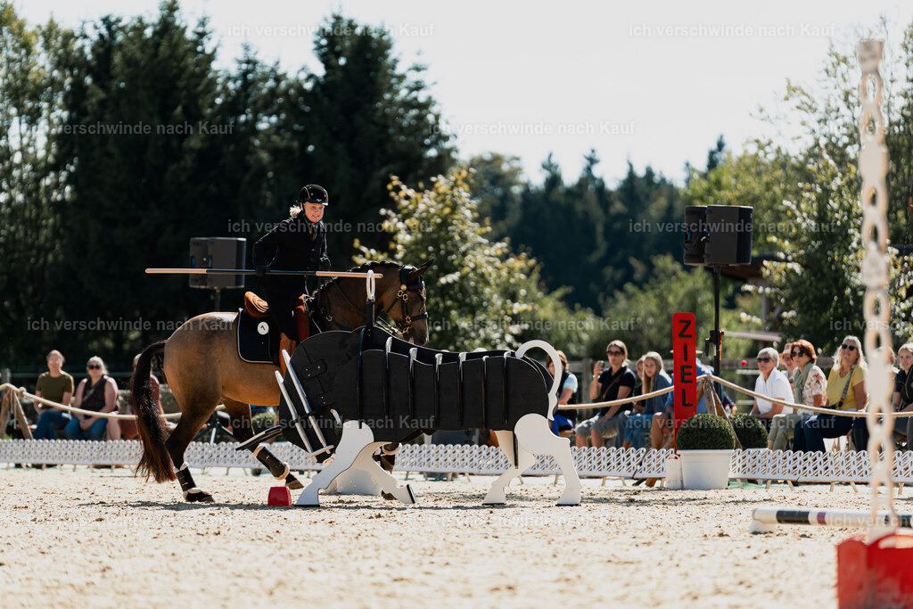 Katja7_FHC2025-08974 | working equitationturnier fotograf videograf stoibphotography marixx film working equitation deutschland reitsport turnierfotografie eventfotografie equestrian events