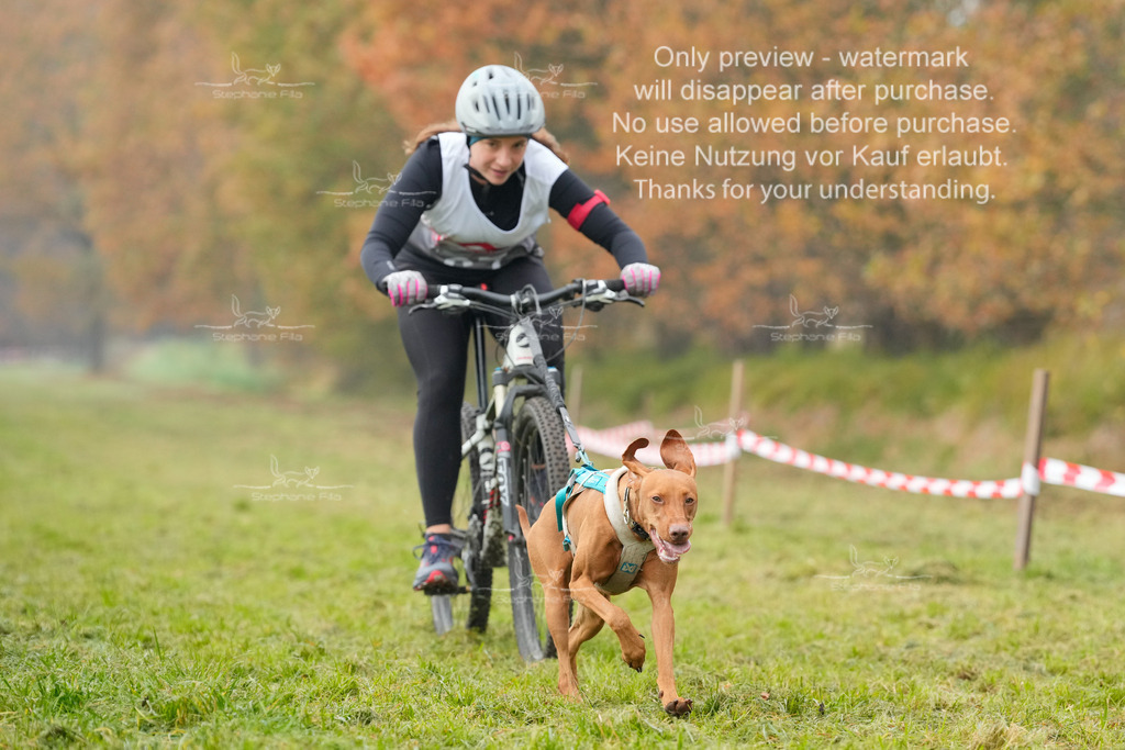 Visbeck_Sa_Bike-171 | stephaniefillaphotographie - Realisiert mit Pictrs.com