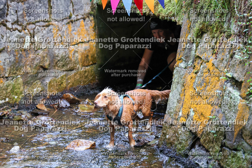Dog Paparazzi -  TH 26-573 | Dog Paparazzi Jeanette Grottendiek Fotografie & Videografie - Realisiert mit Pictrs.com