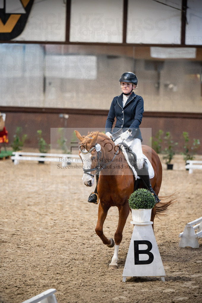 Hallenreittunier Voxtrup 2023 | Entdecke hochwertige Reitturnierfotos von Foto Oger. Professionell, emotional und authentisch – jetzt Lieblingsmomente im Shop bestellen.Deutschlandweite Turnierfotografie. - Realisiert mit Pictrs.com