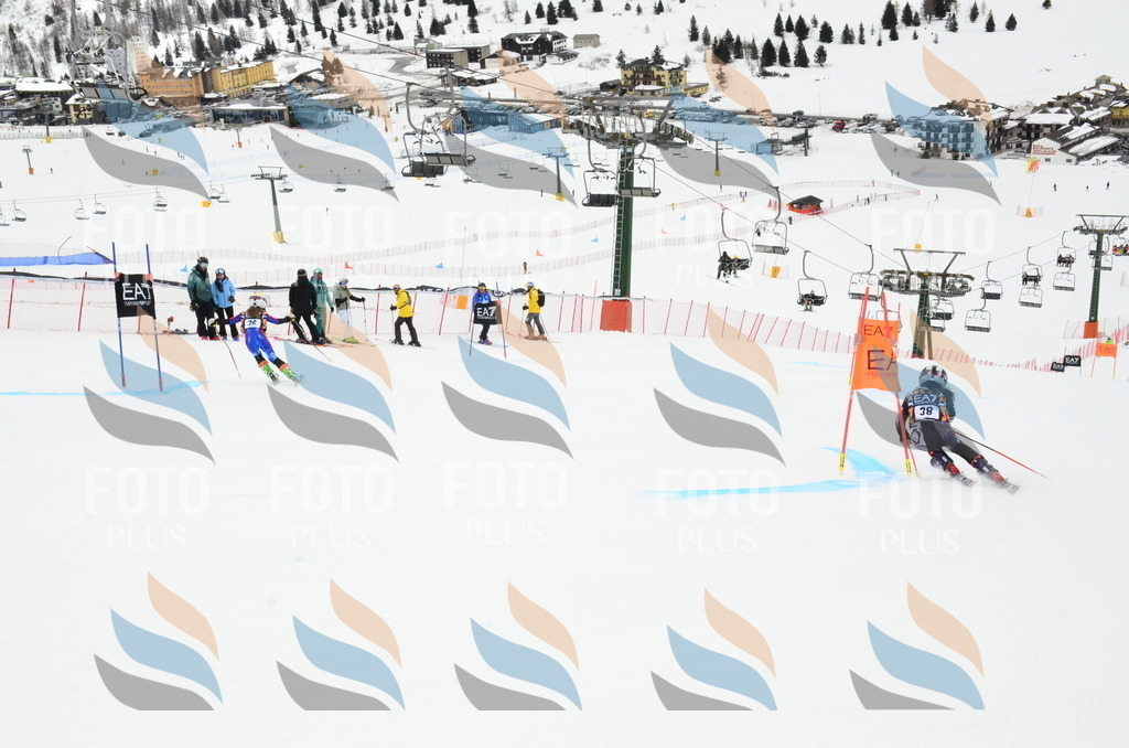 _ELE4053 | holidayphoto