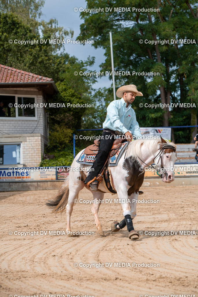 ZS3_9461 | dv-media-shop - Realisiert mit Pictrs.com