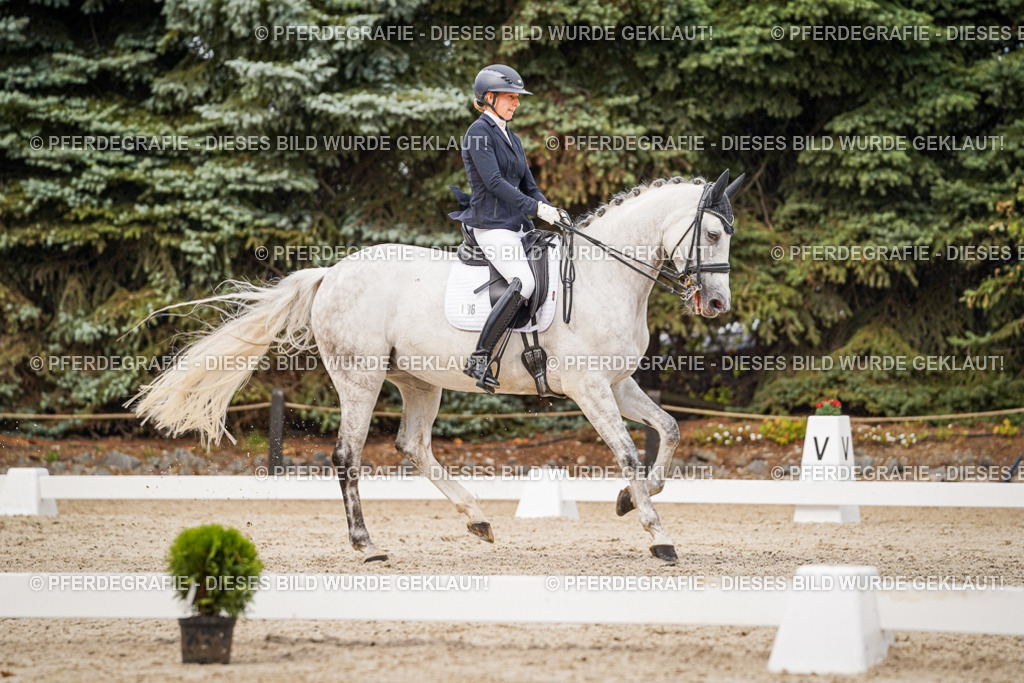 DSC07715 | Pferdegrafie