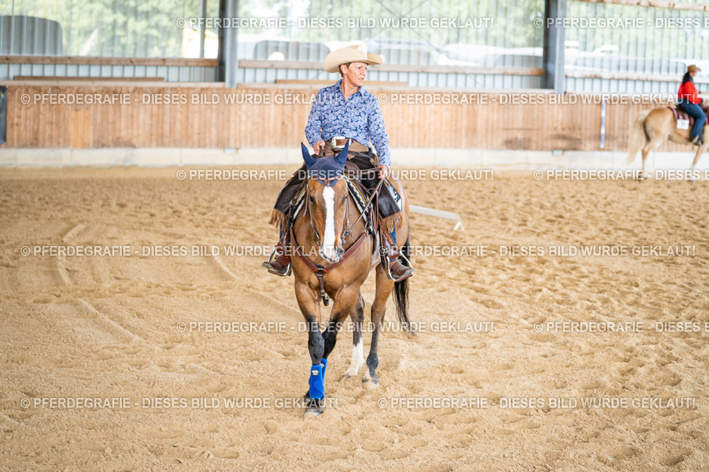 DSC02774 | Pferdegrafie