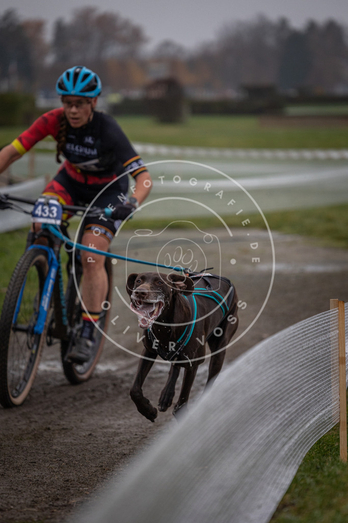 CaniXpix_0L8A1362 | Hundefotografie, Tierfotograf, Pfotenfotografie, Fotoshooting Hund, Hunde Portrait, Hundesport, Hundeportraits, Heideshooting, Hunde, Sportfotograf, Hundefotograf, Turnierhundsport, THS,  - Realisiert mit Pictrs.com