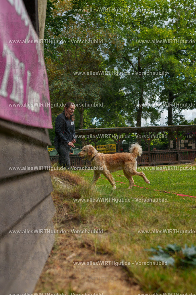 @allesWIRTHgut_Tierfotografie - www.allesWIRTHgut.de - 7R501628 | Professionelle Tierfotografie in Mönchengladbach von Daniel Wirth (allesWIRTHgut). Liebevolle & natürliche Bilder von Hunden & Katzen für unvergessliche Erinnerungen.