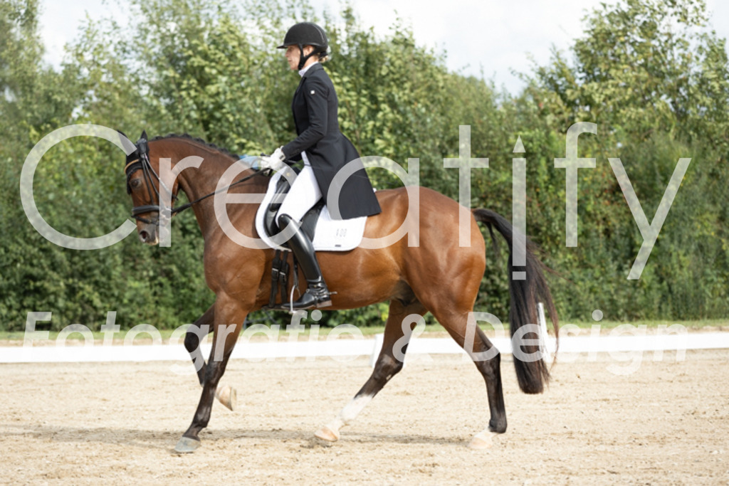 IMG_6658 | Creatify Fotografie