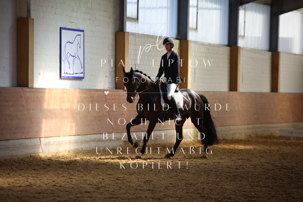 IMGT7601 | pl-fotografie