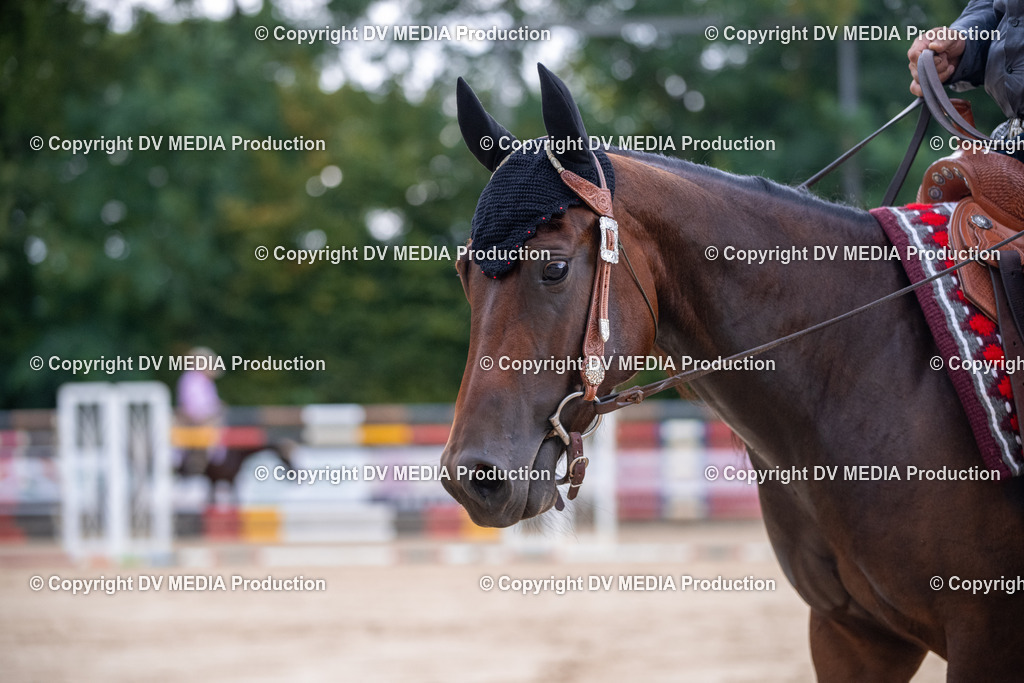 ZS2_3833 | dv-media-shop - Realisiert mit Pictrs.com