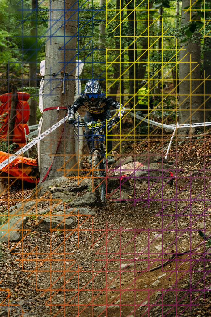 PAE-1103 | Einzigartige Fotokunst für dein Zuhause: Entdecke hochwertige Wandbilder, edle Prints und emotionale Motive von Wildlife, Natur und Landschaften - Realisiert mit Pictrs.com