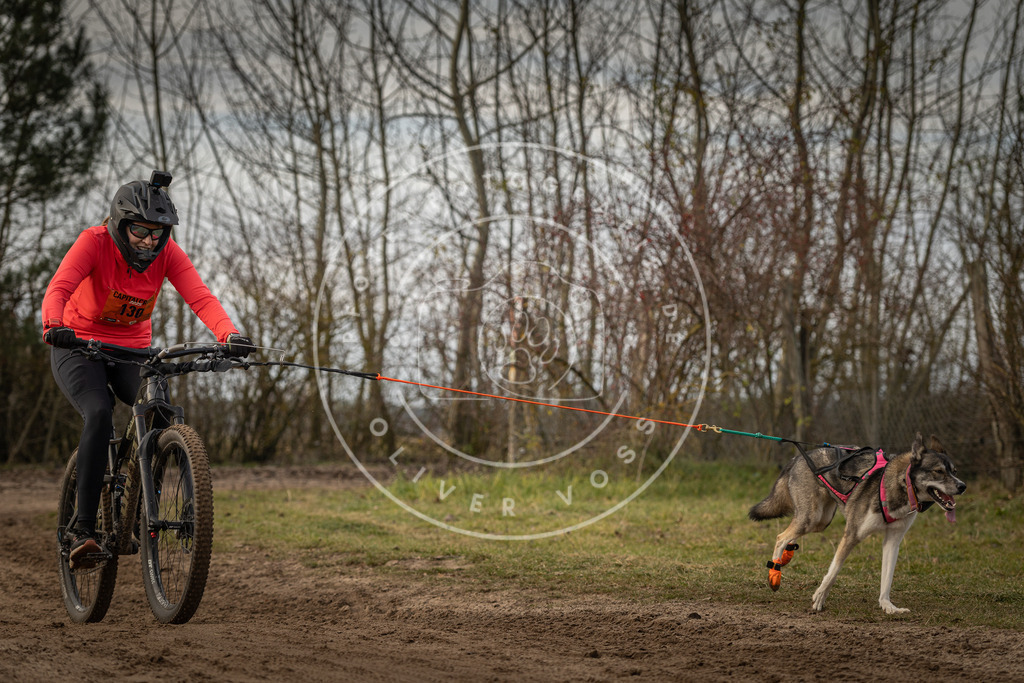 Pfotenfotografie_DV3A8956 | Hundefotografie, Tierfotograf, Pfotenfotografie, Fotoshooting Hund, Hunde Portrait, Hundesport, Hundeportraits, Heideshooting, Hunde, Sportfotograf, Hundefotograf, Turnierhundsport, THS,  - Realisiert mit Pictrs.com
