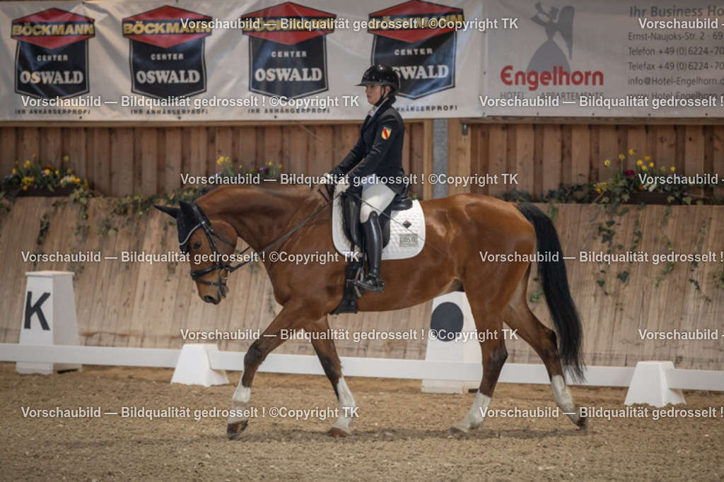 _D5A4393 | Emotionale Pferde- & People-Fotografie rund um Heidelberg, Leimen & Umgebung. Natürliche Fotos von Pferd, Mensch & Familie. Jetzt Termin sichern!