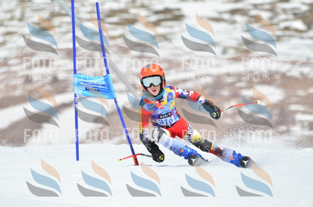 _ELE2388 | holidayphoto