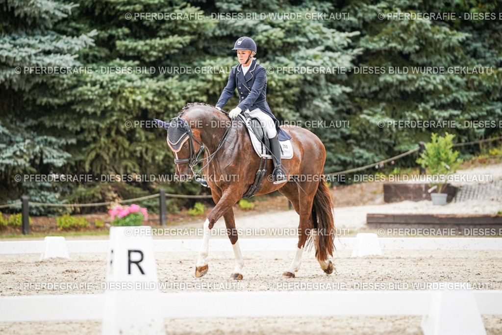 DSC07815 | Pferdegrafie