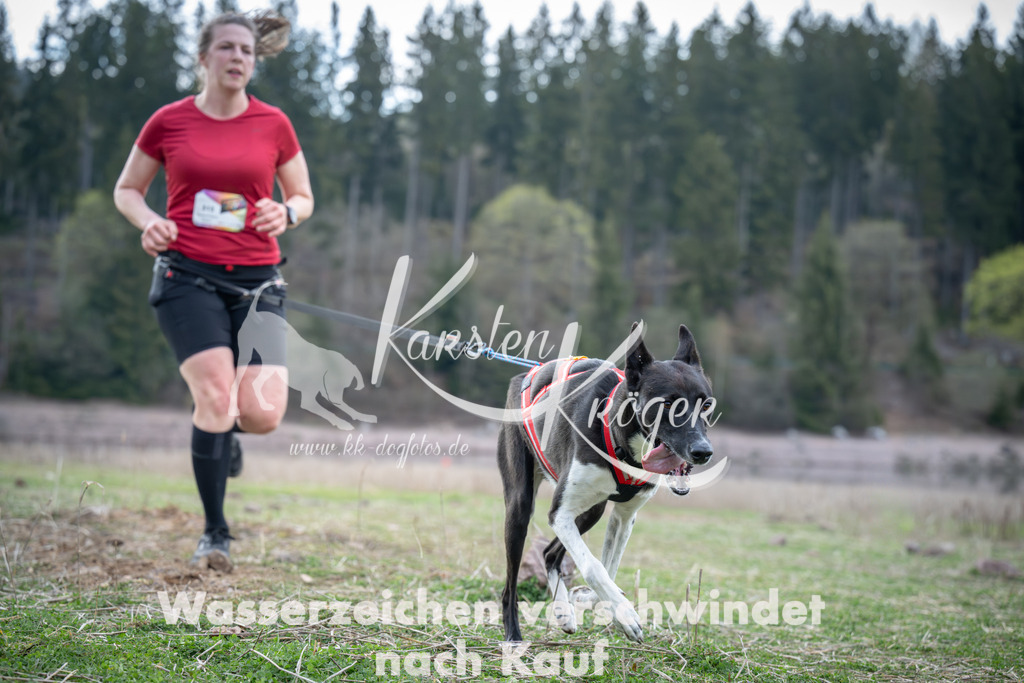 1816_ZZ95224 | kk-dogfotos