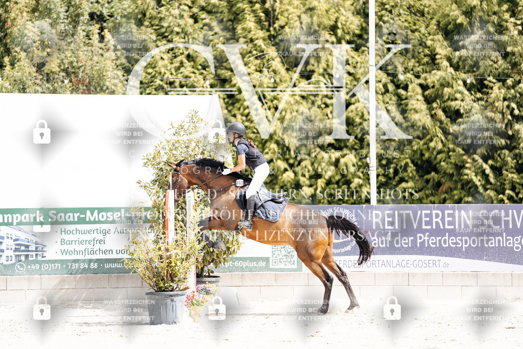 CK906248 | Turnierfotografie Pferdefotografie Trier Rheinland-Pfalz Pferdesport Reitsport Tierfotografie Sportfotografie Pferdevideo Pferdevideografie Equestrianvideography equestrianphotography  - Realisiert mit Pictrs.com
