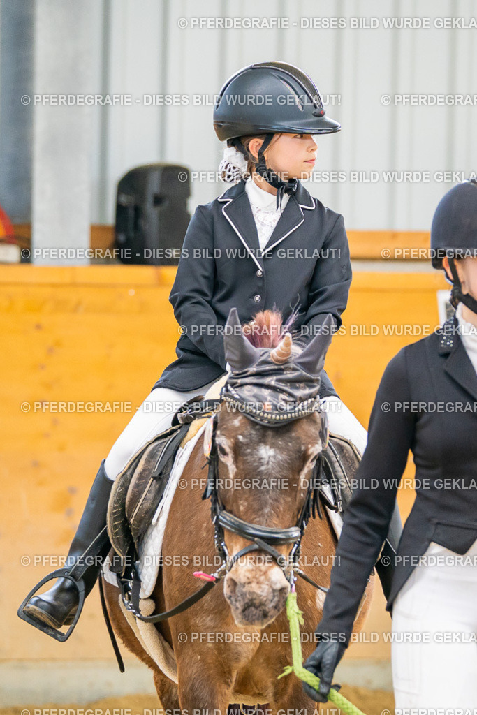 DSC00659 | Pferdegrafie