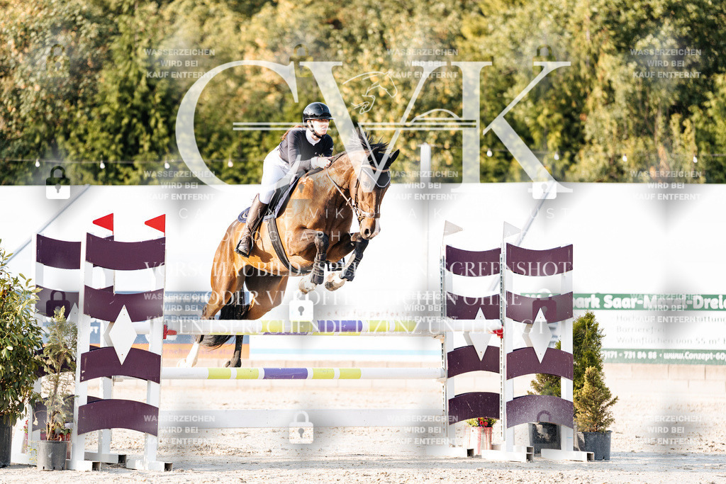 CK903536 | Turnierfotografie Pferdefotografie Trier Rheinland-Pfalz Pferdesport Reitsport Tierfotografie Sportfotografie Pferdevideo Pferdevideografie Equestrianvideography equestrianphotography  - Realisiert mit Pictrs.com