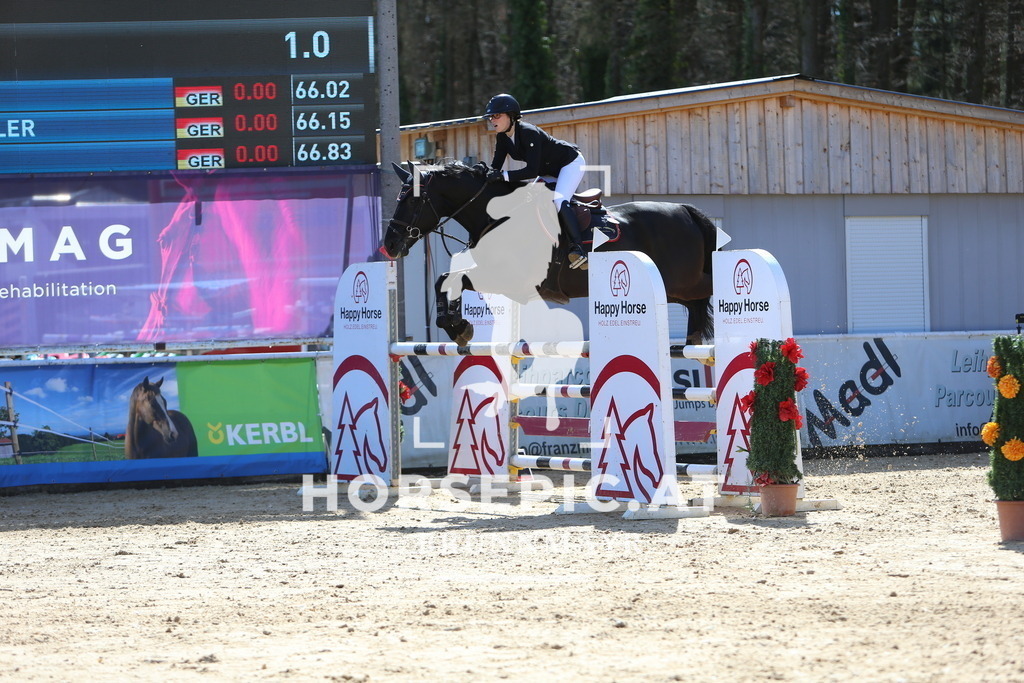 DL2Q4839 | Willkommen bei Brunnmayr - Design & Fotografie – Ihrem Spezialisten für Reitturniere und Pferdeveranstaltungen in Oberösterreich, Salzburg und Bayern! Seit über 17 Jahren sind wir leidenschaftlich dabei.