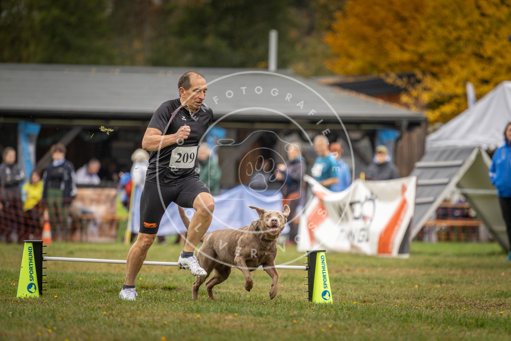 Pfotenfotografie_DV3A1857 | Hundefotografie, Tierfotograf, Pfotenfotografie, Fotoshooting Hund, Hunde Portrait, Hundesport, Hundeportraits, Heideshooting, Hunde, Sportfotograf, Hundefotograf, Turnierhundsport, THS,  - Realisiert mit Pictrs.com
