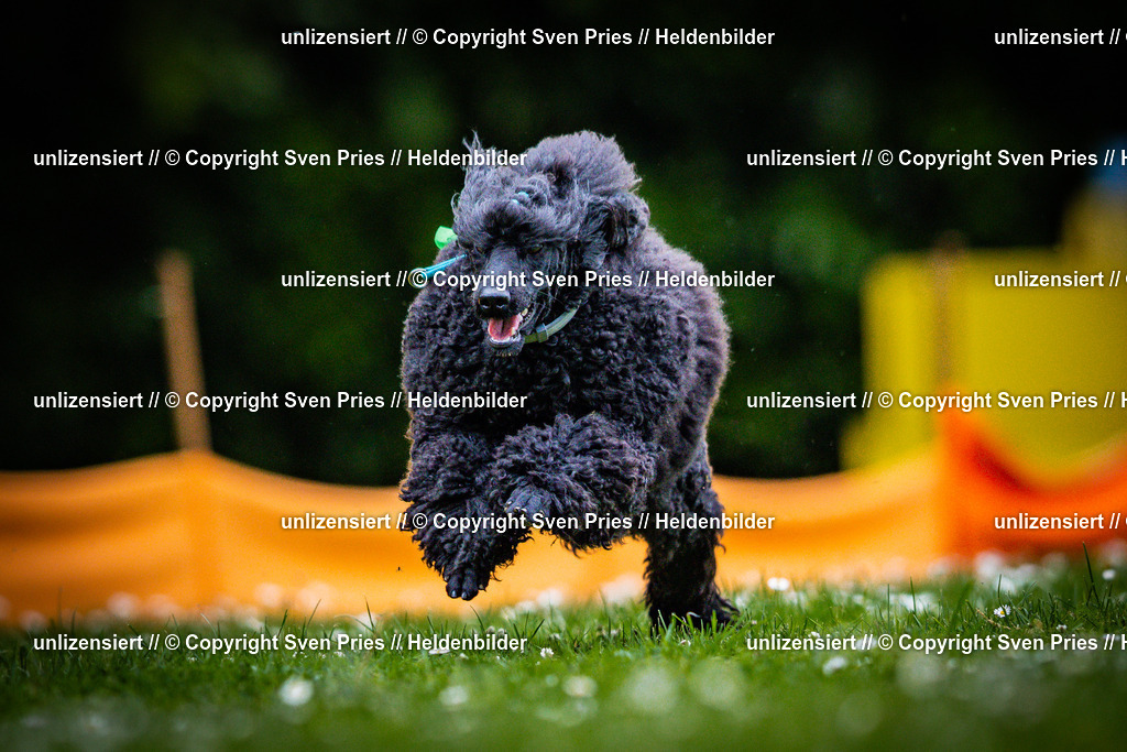 Sven Pries | 2025-05-29 - Pudelrennen KA-Durlach - Realisiert mit Pictrs.com