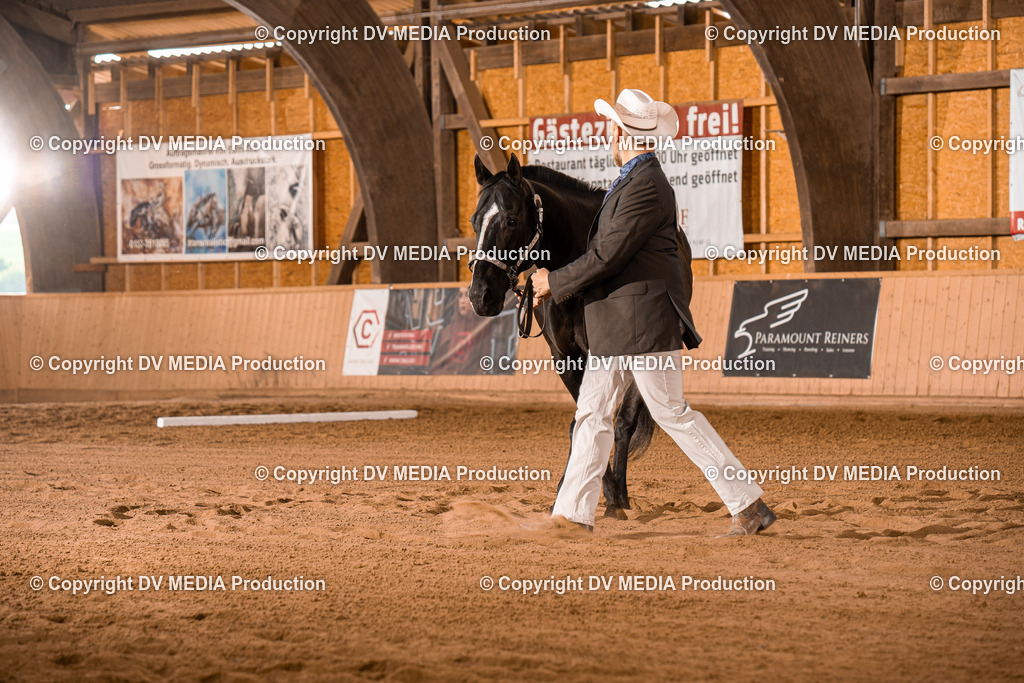 NE100075 | dv-media-shop - Realisiert mit Pictrs.com